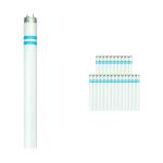 Mehrfachpackung 25x Philips MASTER TL-D Secura 58W - 840 Kaltweiß | 150cm