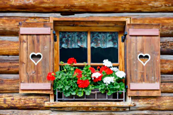 Holzh&uuml;tte mit offenen Fensterl&auml;den